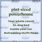 BISSELL Little Green Mini portable carpet cleaner in tea green with HydroRinse tool and tough stain tool for upholstery.