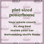 BISSELL Little Green Mini carpet cleaner in tea green with HydroRinse tool and tough stain tool for auto detailing.