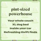 BISSELL Little Green Mini Portable Carpet Cleaner in Tea Green with HydroRinse Tool and Tough Stain Tool on display.