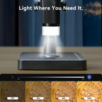 Elikliv LCD digital coin microscope 1000x with 8 LED lights and 4.3-inch display, compatible with Windows and MacBook.