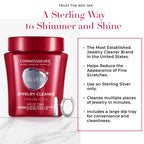 CONNOISSEURS Premium Edition Jewelry Cleaner 9.6oz bottle, showcasing fine, silver, and delicate jewelry cleaning options.