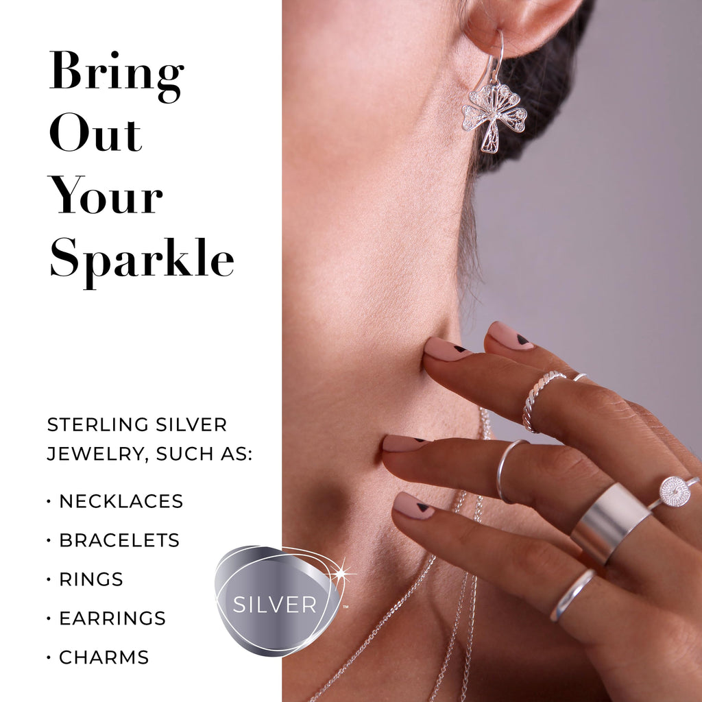 CONNOISSEURS Premium Edition Jewelry Cleaner 9.6oz bottle, ideal for fine, silver, and delicate jewelry cleaning.