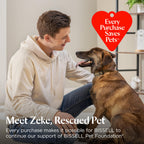 BISSELL Little Green Mini Portable Carpet Cleaner in tea green with HydroRinse and 4" Tough Stain Tool for upholstery cleaning.